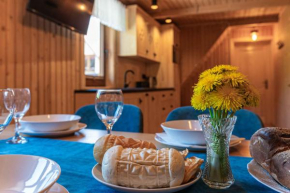 Apartament z widokiem na tatry